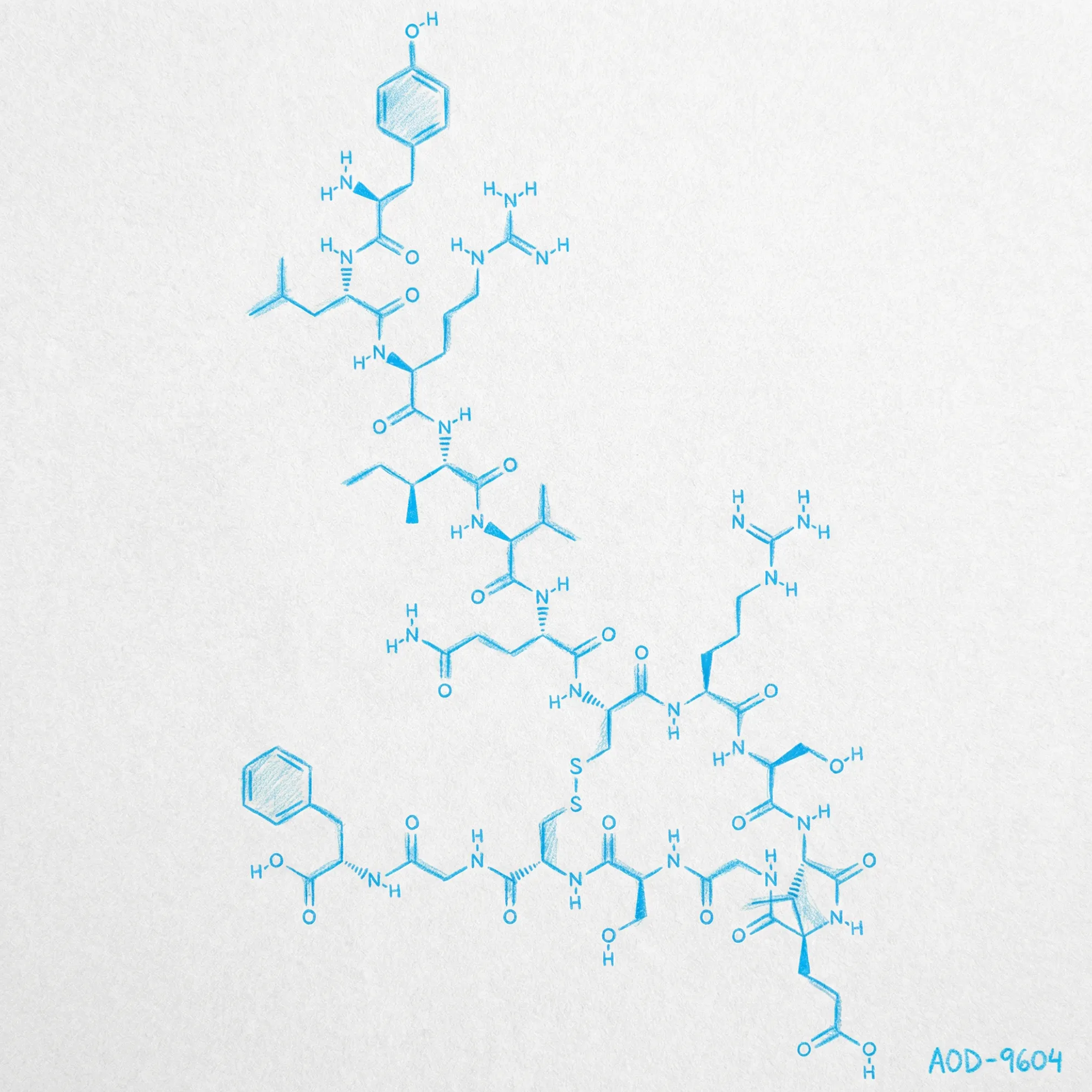 AOD-9604 Molecule