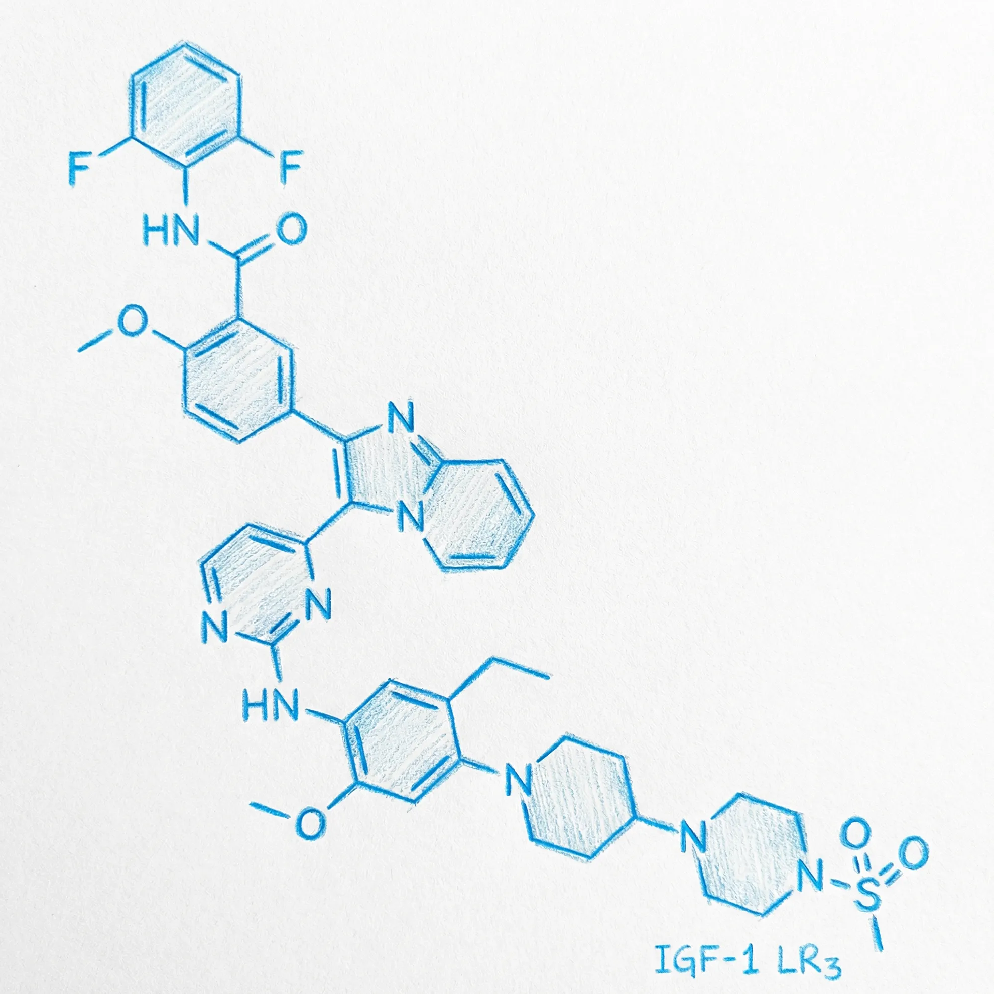 IGF-1 LR3 Molecular Structure
