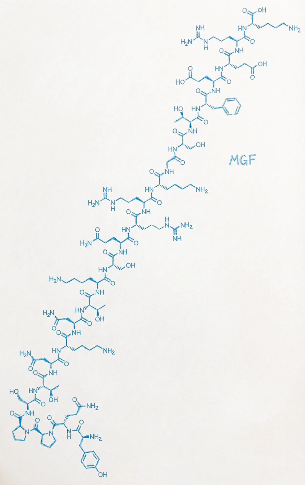 MGF Molecule