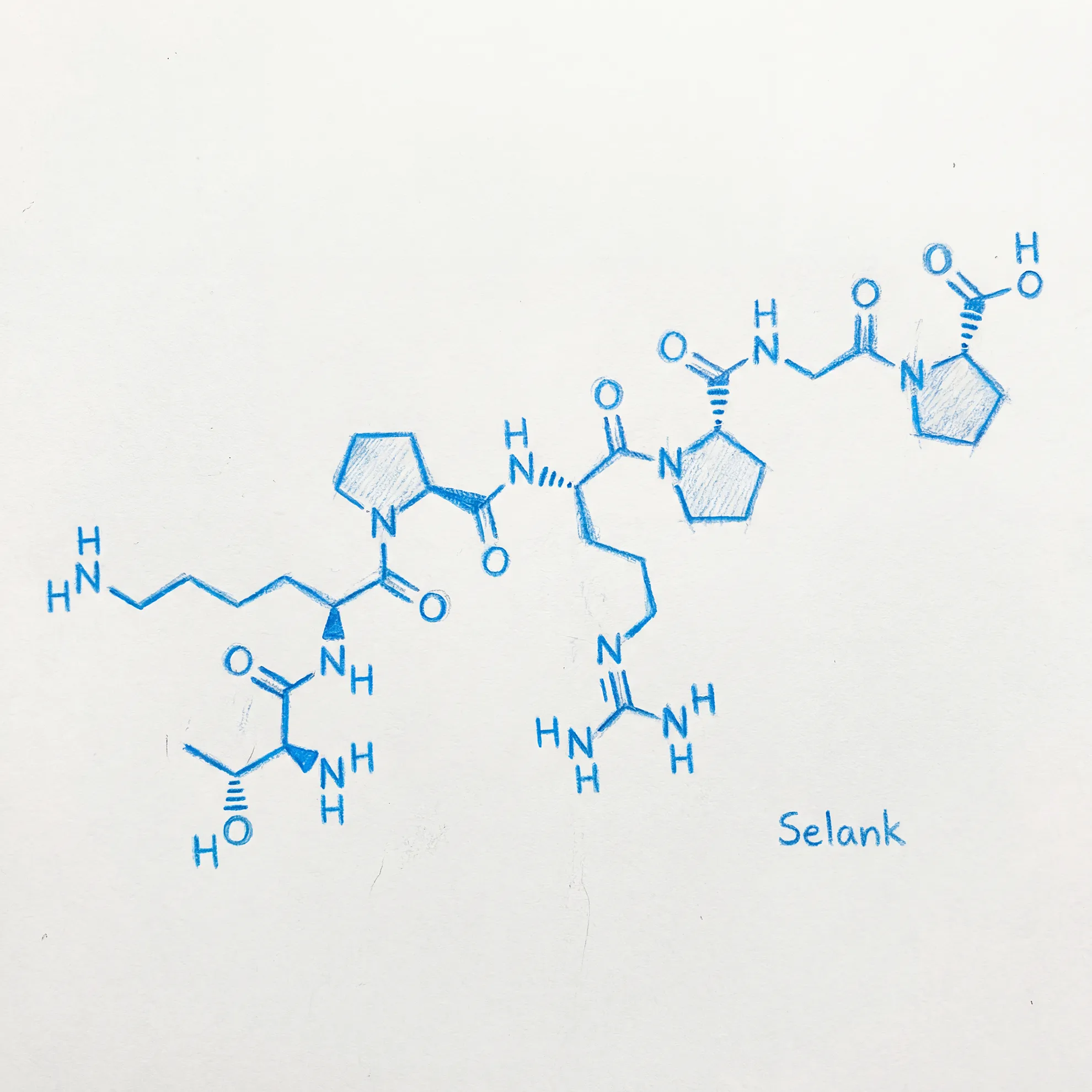 Selank Molecule