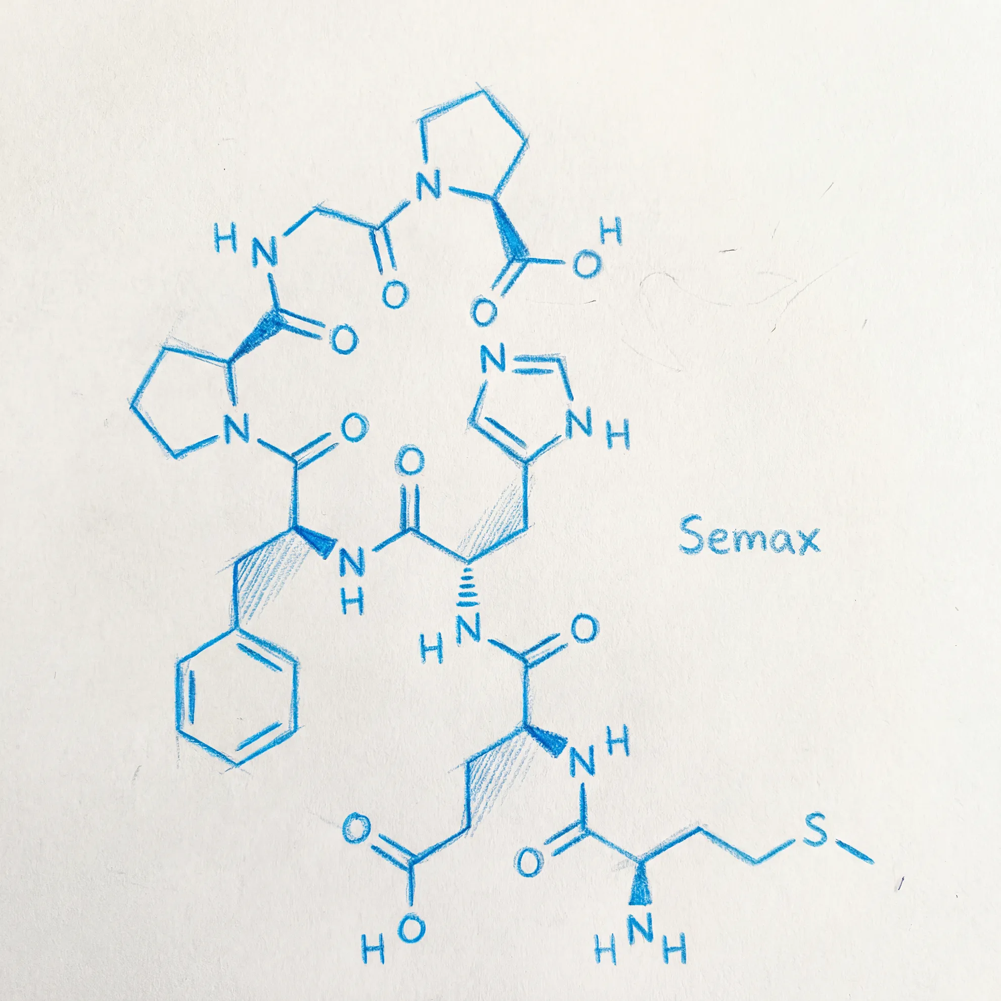 Semax Molecule