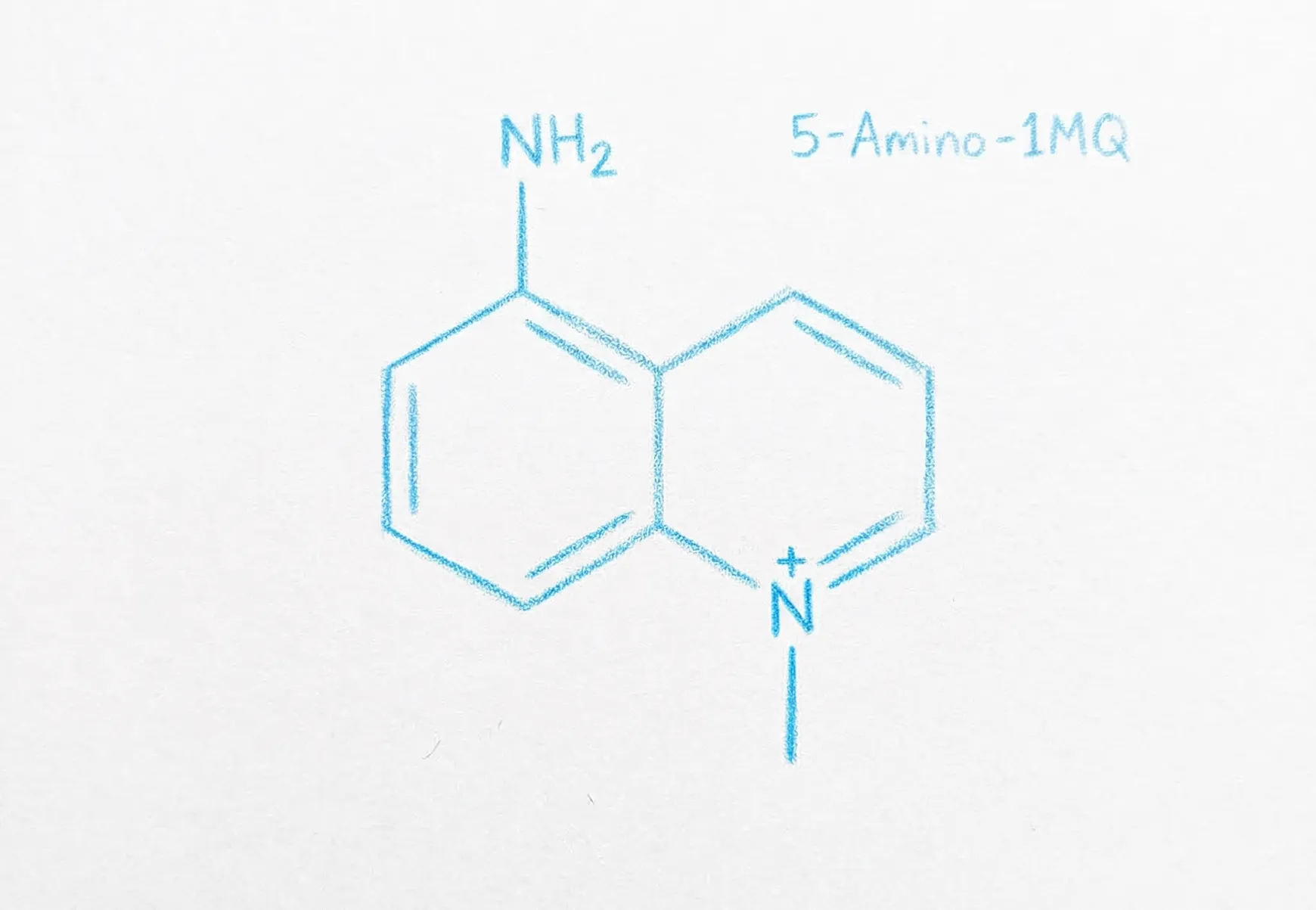 5 Amino 1MQ Molecule