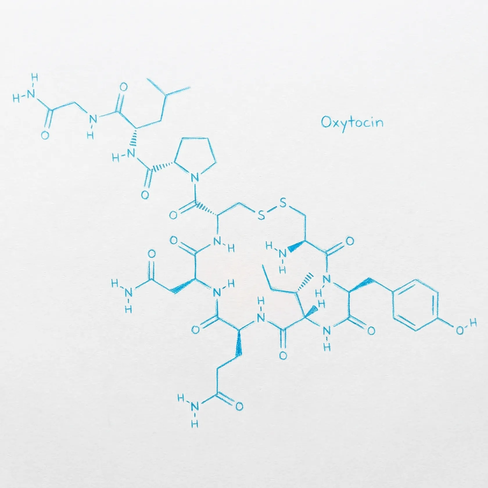 Oxytocin Molecular Structure