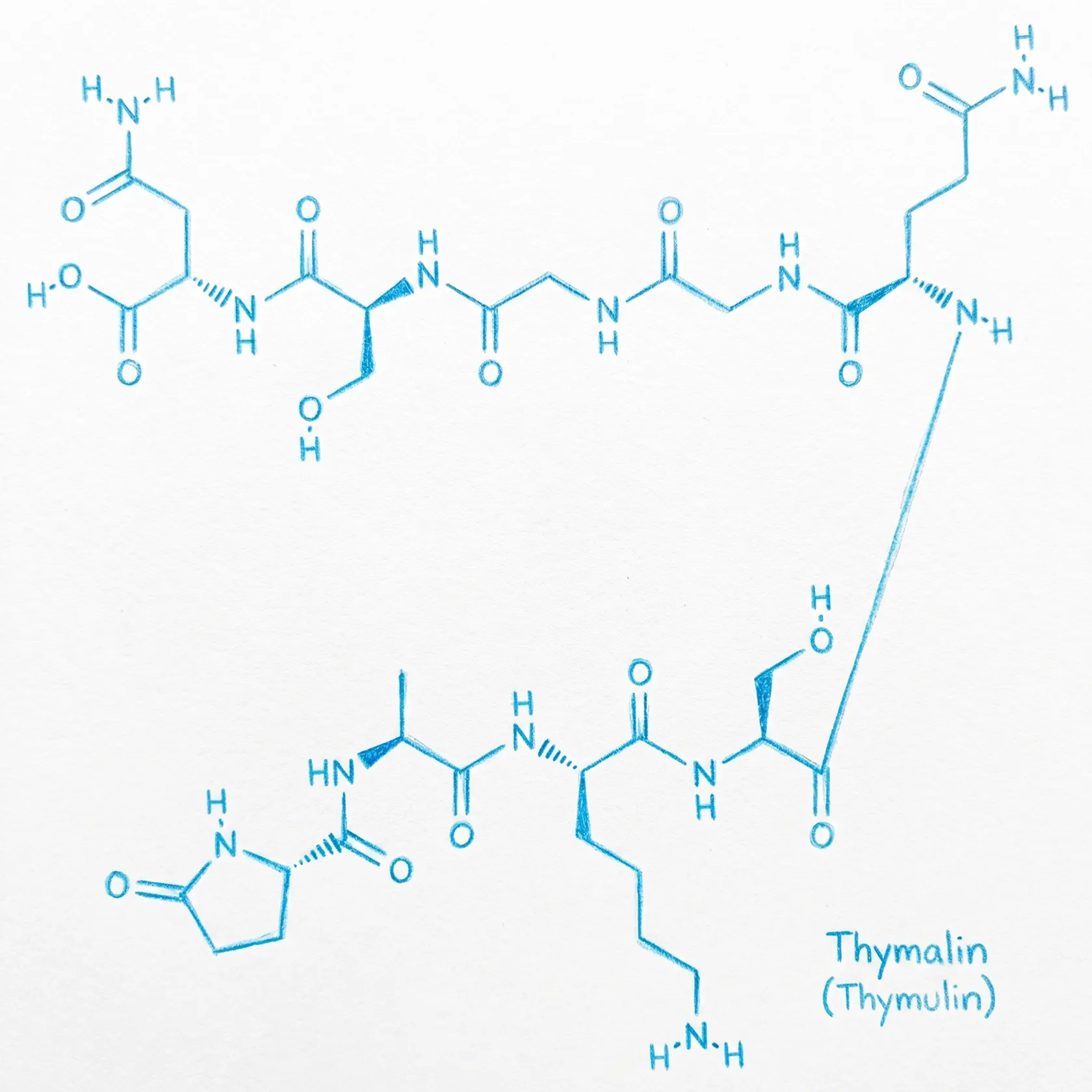 Thymalin Molecule