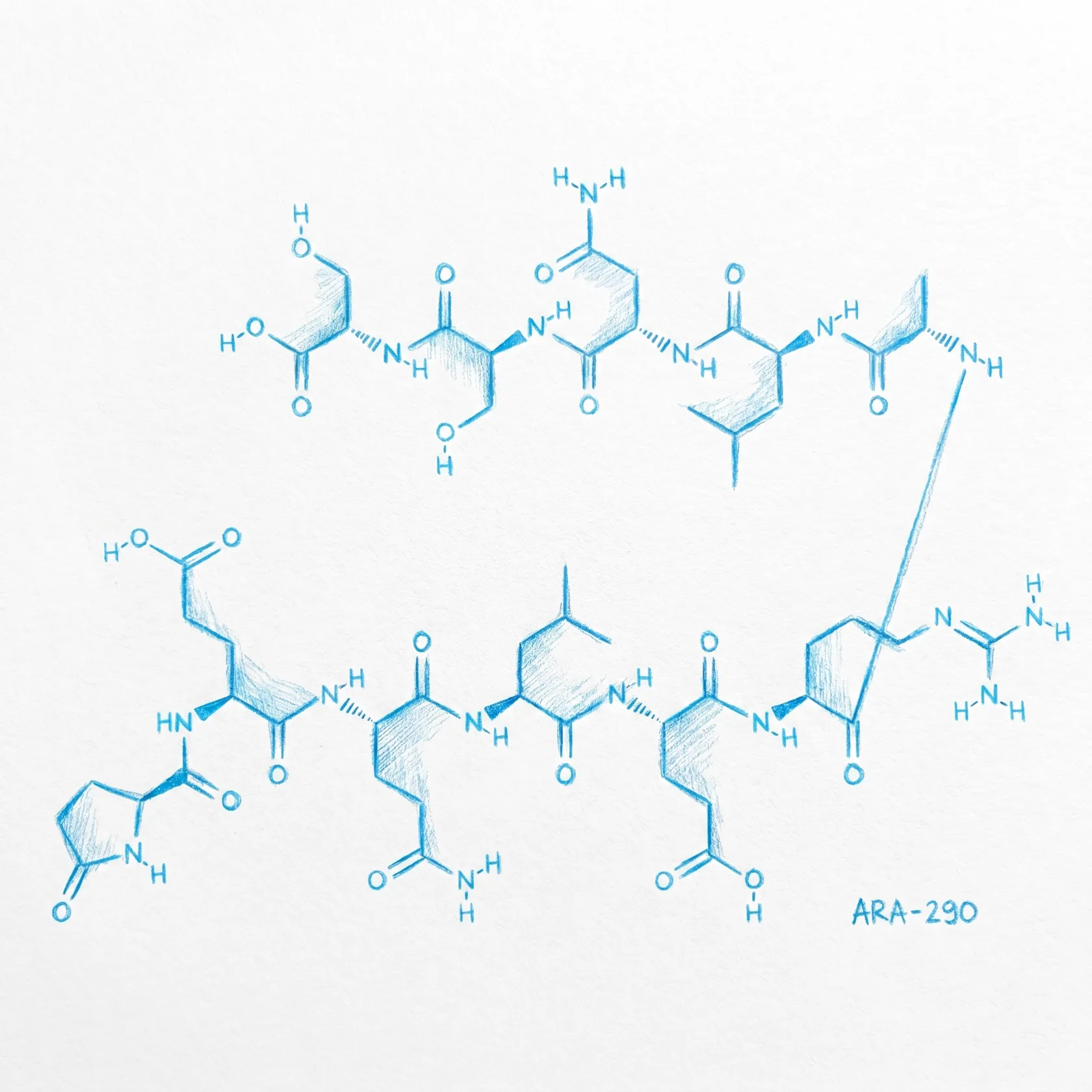 ARA-290 Molecule