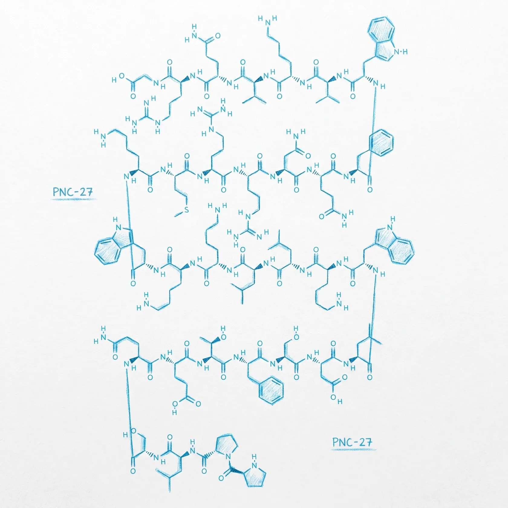 PNC-27 Molecule